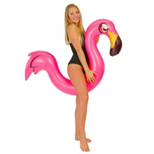 Load image into Gallery viewer, *BRAND NEW* FLAMINGO RIDE-ON SUPER NOODLE
