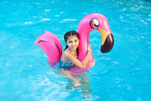 Load image into Gallery viewer, *BRAND NEW* FLAMINGO RIDE-ON SUPER NOODLE
